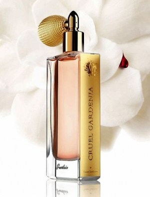 cruel gardenia