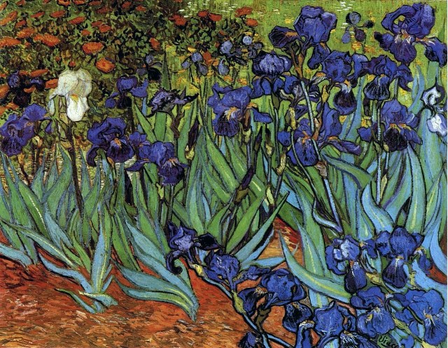 irises-1889