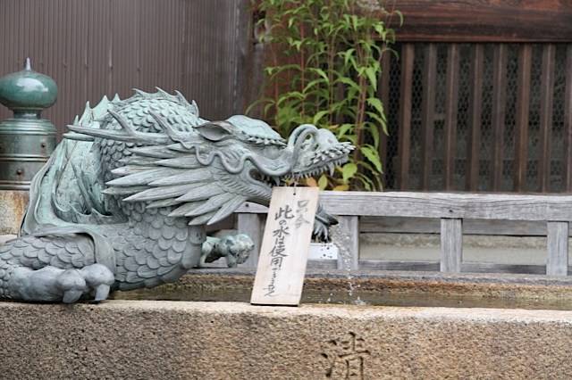 Kyoto Dragon photo