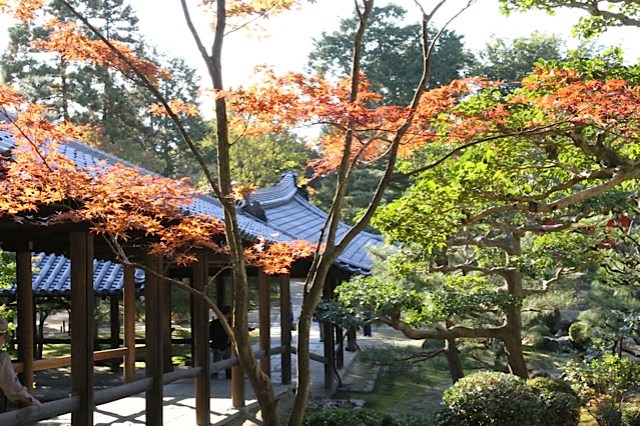 Kyoto Garden