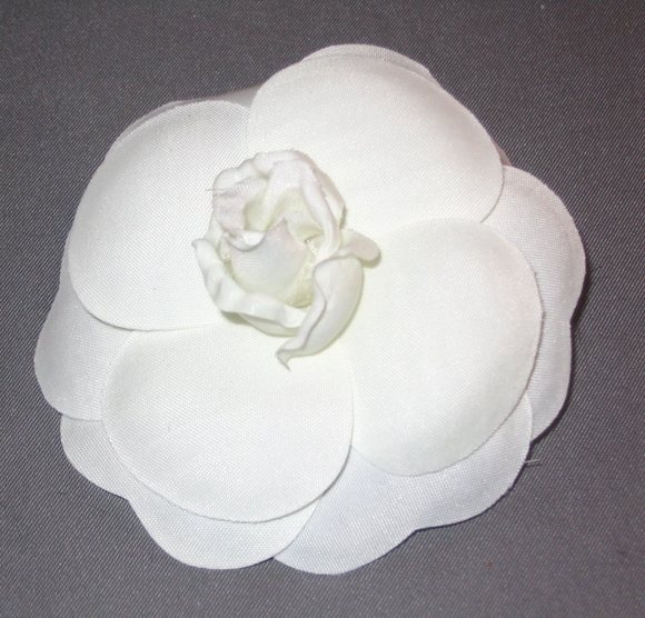 camellia