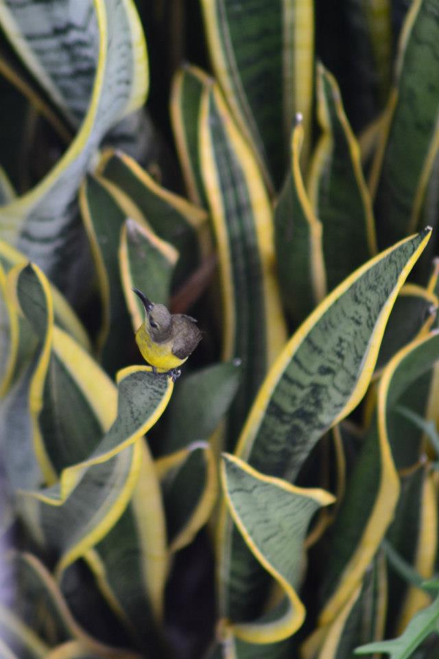 578537_10151355145219315_965475094_n