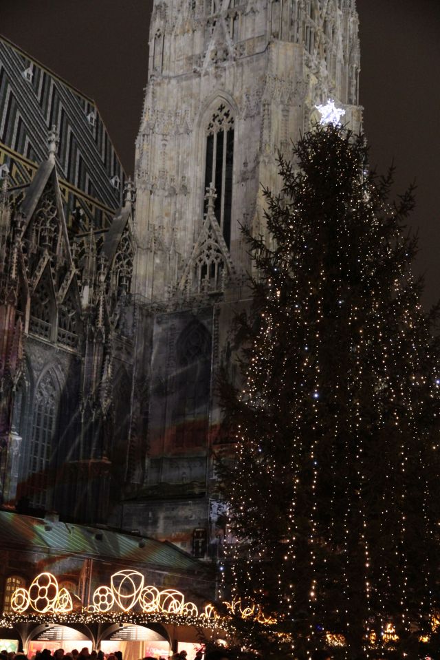 Stephansdom tree 2