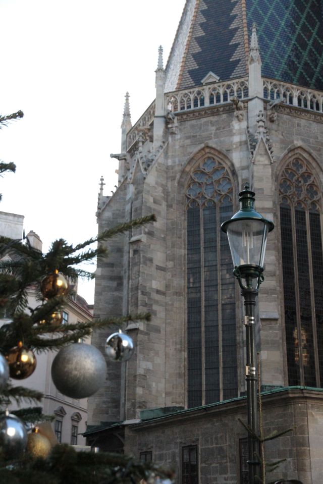 Stephansdom tree