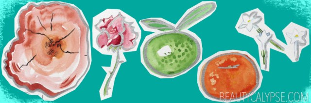 tao-n2-perfume-ingredients