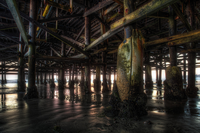 7952431214_3d554b3c40_z