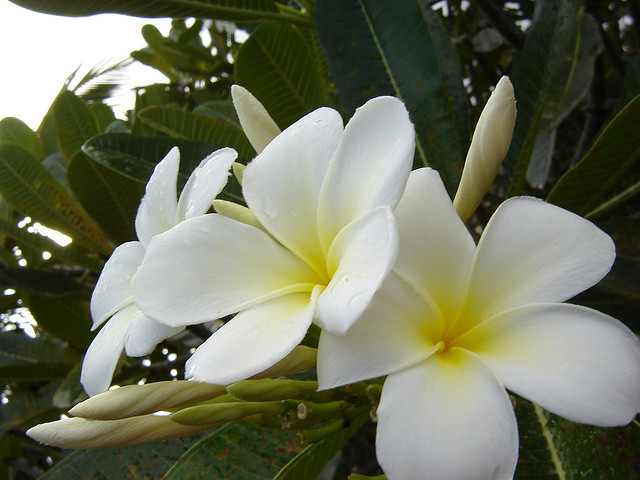 3512324412_dc49d5e16a_z